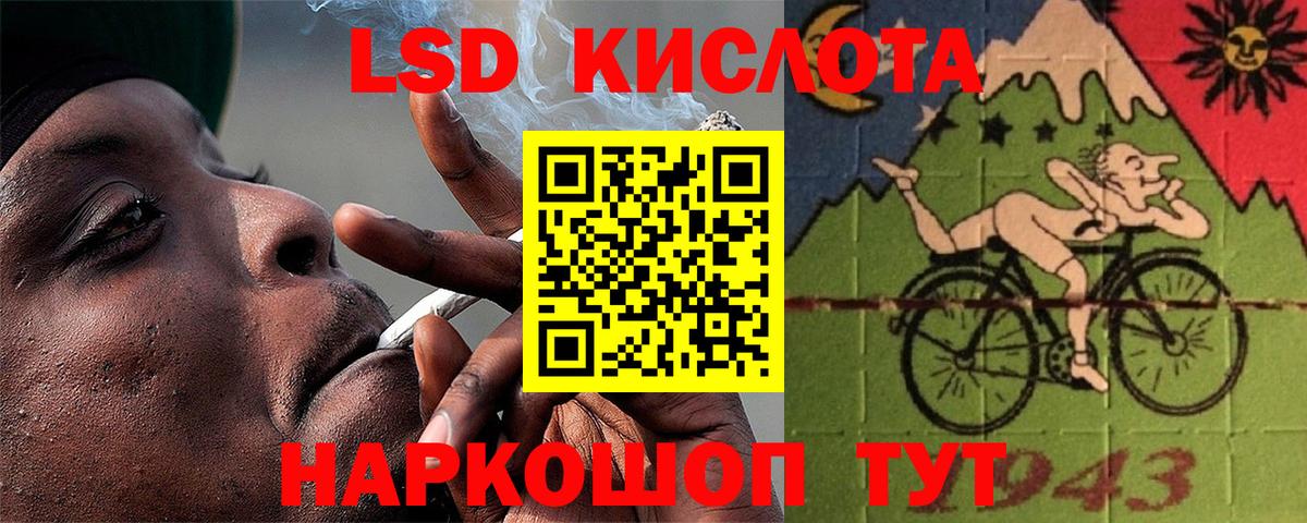 Бошки Шишки Кандалакша