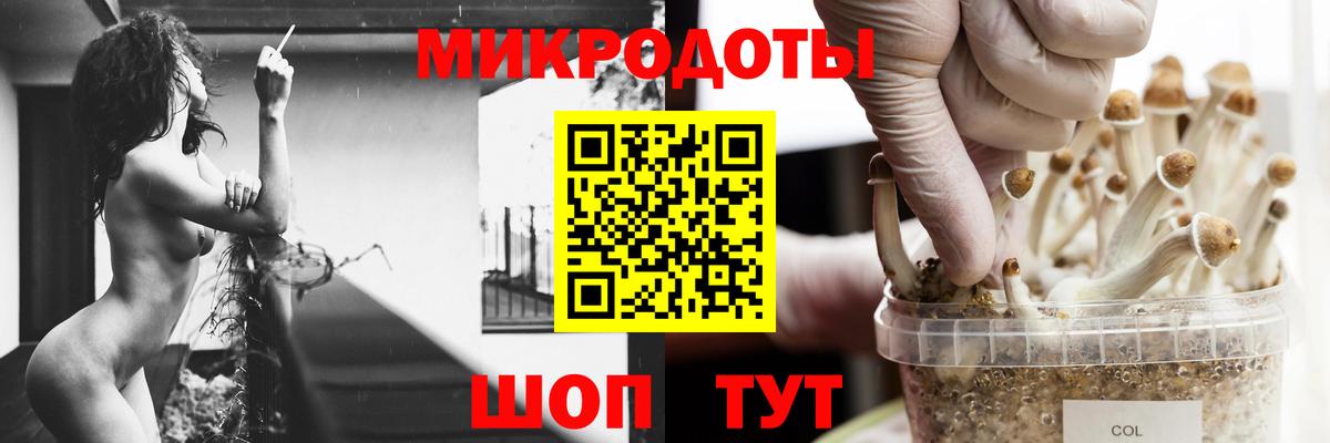Кандалакша  Псилоцибиновые грибы Cubensis  Вход с VPN  Галлюциногенные грибы мухоморы 
